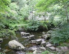 Image result for Water Theme Mosaic Stepping Stones