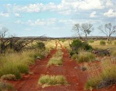 Image result for Dirt Road Texture