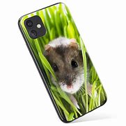 Image result for Hamstar Phone Case iPhone SE