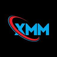 Image result for XMM Security Logo