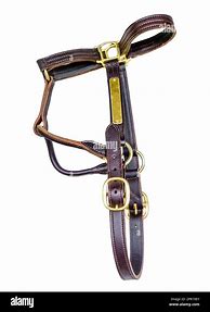 Image result for Horse Bridle White Background