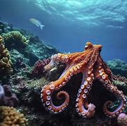 Image result for Octopus Underwater