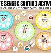 Image result for 5 Senses Sorting