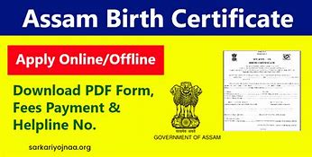 Image result for Aerizona Birth Certificate