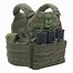 Image result for Tactical Gear Plate Carrier