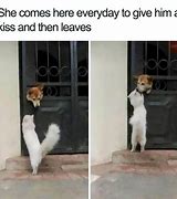Image result for 2014 Funny Animal Memes