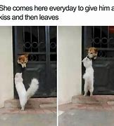 Image result for Wholesome 100 Meme