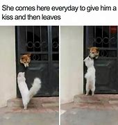 Image result for Funny Lost Dog Meme