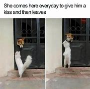 Image result for Weekend Dog Meme