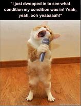 Image result for Singing Animal Memes Funny