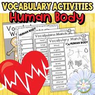 Image result for Human Body Vocabulary