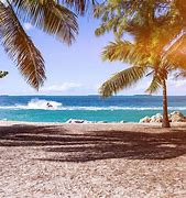 Image result for Summer Beach View
