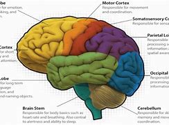Image result for Various Types of Computer Memory