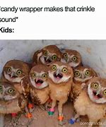 Image result for Funny Memes to Make Someone Laugh