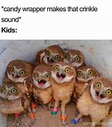 Image result for Party Memes Funny