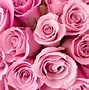 Image result for Cute Floral Backgrounds