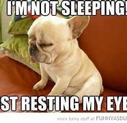 Image result for Funny Tired Dog Meme