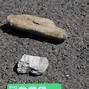Image result for How to Identify Petrified Wood