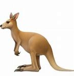 Image result for Kangaroo Emoji