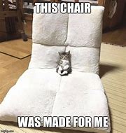 Image result for Cat Sitting On Chair Meme