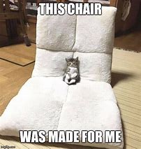Image result for White Cat in Chair Meme