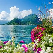 Image result for Beautiful Background Wallpaper