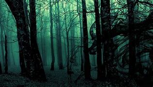 Image result for Creepy Woods at Night