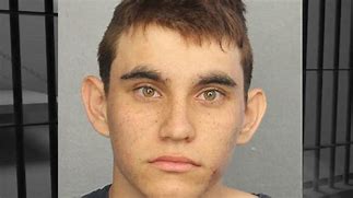 Image result for Parkland Florida School Shooting Activists