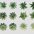 Image result for Palm Tree Top View Pixel