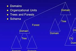 Image result for XM Domain
