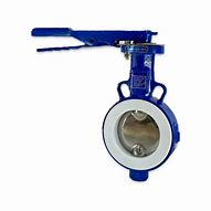 Image result for PTFE Wafer Butterfly Valve