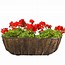 Image result for Wall Planter