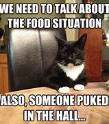 Image result for Elegent UI Clients Cat Food Meme