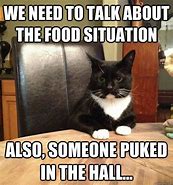 Image result for Cat Meme About Food