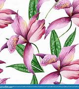 Image result for Amazing Exotic Flowers White Background