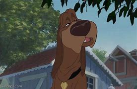 Image result for Trusty From Lady and the Tramp