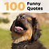 Image result for Funny Quotes to Tell People