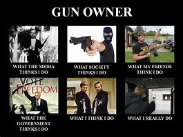 Image result for Gun Owner MEMS