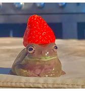 Image result for Pusheen Frog
