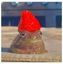 Image result for Frog Aesthetic Real