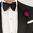 Image result for Butterfly Bow Tie