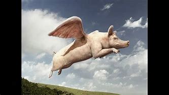 Image result for Flying Pig with Wings