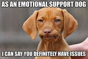 Image result for Emotional Support Protection Meme
