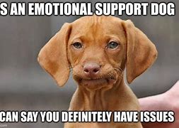 Image result for Emotional Support Animal Meme