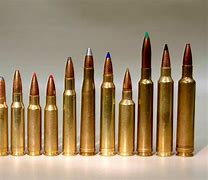 Image result for Hunting Rifle Calibers