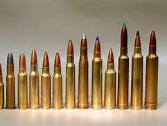 Image result for Hunting Rifle Calibers Smallest to Largest