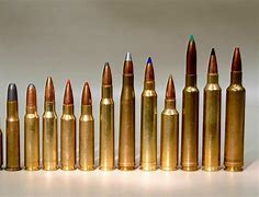 Image result for Rifle Bullet Size Comparison Chart