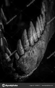 Image result for Dinosaur Sharp Teeth