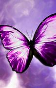 Image result for 1 Purple Butterfly Wallpaper