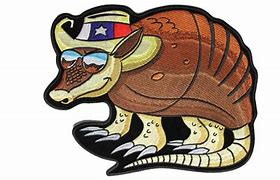 Image result for Armadillo Bursting From the State of Texas Decal